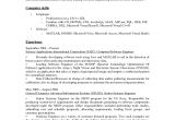 Basic Resume Summary Examples Pin by Jobresume On Resume Career Termplate Free Resume