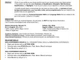 Basic Resume Worksheet 7 Functional Resume Worksheet Professional Resume List