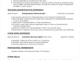 Basic Resume Zone 6 Unique Resumes Lfgowl Free Samples Examples format