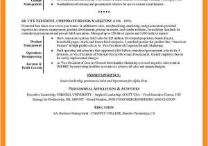 Basic Retail Resume Examples 9 10 Basic Resume Examples for Retail Jobs