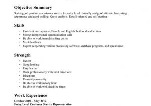 Basic Sample Resume for No Experience It Resume Sample No Experience Resume Sample format