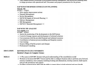 Basic Sap Knowledge Resume Sap Scm Resume Samples Velvet Jobs