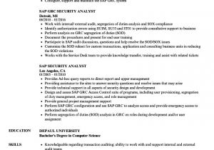 Basic Sap Knowledge Resume Sap Security Analyst Resume Samples Velvet Jobs