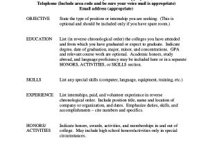 Basic Skills for Resume Basic Resume Samples Examples Templates 8 Documents