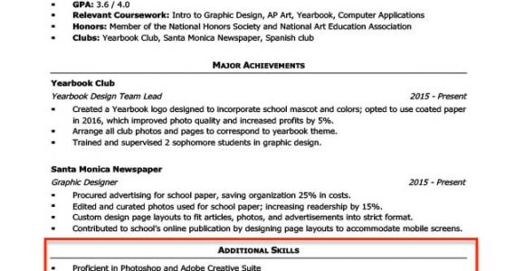 Basic Skills to Put On Your Resume 20 Skills for Resumes Examples Included Resume Companion