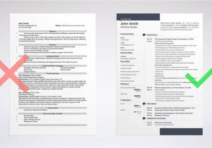 Basic Skills to Put On Your Resume 99 Key Skills for A Resume Best List Of Examples for All