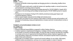 Basic software Knowledge Resume 12 13 software Knowledge On Resume Mysafetgloves Com