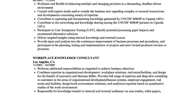 Basic software Knowledge Resume 12 13 software Knowledge On Resume Mysafetgloves Com