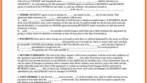 Basic Terms and Conditions Template 12 Car Rental Agreement Terms and Conditions Purchase