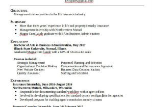 Bba Student Resume 37 Professional Administrative Resume Templates Pdf