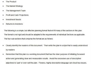 Bdc Business Plan Template Business Development Plan 13 Free Word Documents