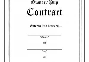 Bdsm Contract Template Pup Play Contract Hard Copy soft Hard Cover