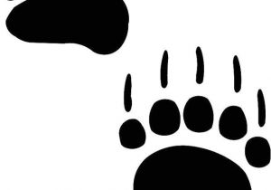 Bear Footprints Template 33 Best Images About Bear Paw Tattoos On Pinterest Bear