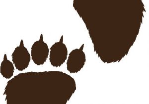 Bear Footprints Template Free Paw Prints Clipart