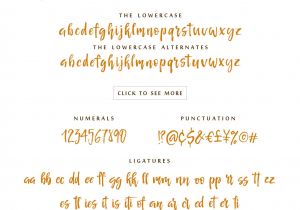 Beautiful Font for Wedding Card Sea orita Font by Iradvilyuk Lettering Creative Fonts
