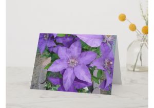 Beautiful Greeting Card for Birthday Beautiful Purple Flower Blank Greeting Card Zazzle Com