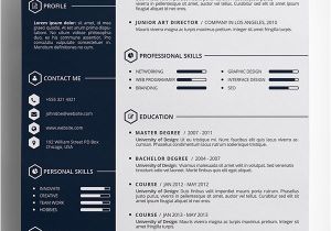 Beautiful Resume Templates Free 10 Best Free Resume Cv Templates In Ai Indesign Word