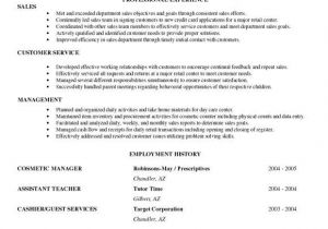 Beginner Job Application Resume Sample Entry Level Resume Sample Resume Objective Statement
