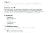 Beginner Job Application Resume Sample Resume Templates Beginner Beginner Resume