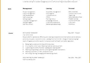 Best Basic Resume format 5 solution Architect Resume Free Samples Examples