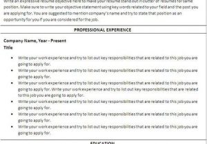 Best Basic Resume format Best Resume Template 2012 Word Resume Templates