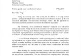 Best Cover Letter for Executive Director Position Non Profit Cover Letter Sample Executive Director Cover