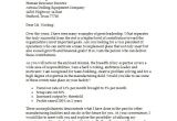 Best Cover Letter Introductions Resume Introduction Letter Examples Best Resume Gallery