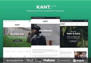Best Email Templates 2015 25 Best Mailchimp Responsive Email Templates 2019