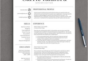 Best Professional Resume Classic Professional Resume Template for Word Us Letter