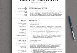 Best Professional Resume Templates 141 Best Images About Professional Resume Templates On