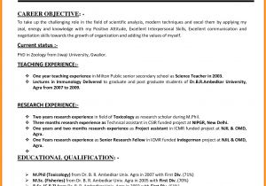 Best Resume format for Job Application 10 Cv format Teachers Job theorynpractice