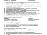 Best Resume format for Job Pin by Resumejob On Resume Job Federal Resume Job