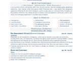 Best Resume format for Job Word File Cv Word Doc Template