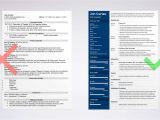 Best Resume format In Word 15 Resume Templates for Word Free to Download