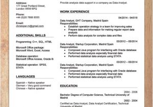 Best Resume format In Word File Cv Resume Templates Examples Doc Word Download