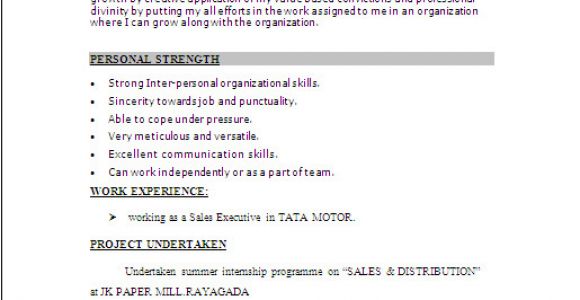 Best Resume format In Word File Resume Sample In Word Document Mba Marketing Sales