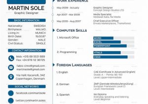 Best Resume format Word Document Cv Templates 61 Free Samples Examples format Download Free