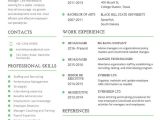 Best Resume format Word Download 10 Professional Fresher Resume Templates In Word Pdf