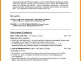 Best Resume format Word File Download 5 Resume Word Doc Template Professional Resume List