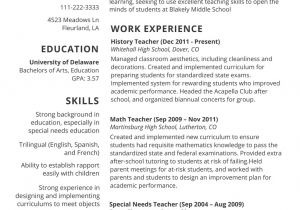 Best Sample Resume Templates Best Resume Template 2017 Learnhowtoloseweight Net