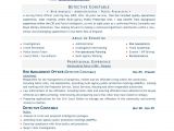 Best Sample Resume Templates Best Resume Words Template Resume Builder