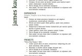 Best Sample Resume Templates top 10 Resume Samples Best Resume Gallery