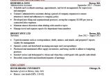 Best Simple Resume format for Experienced Expert Preferred Resume Templates Basic Simple