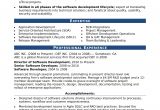 Best Simple Resume format for Experienced Sample Resume for An Experienced It Developer Monster Com