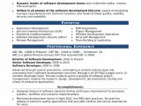Best Simple Resume format for Experienced Sample Resume for An Experienced It Developer Monster Com