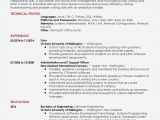 Best software Engineer Resume Reasons why Best software Realty Executives Mi Invoice