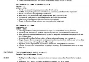 Big Data Engineer Resume Big Data Developer Resume Samples Velvet Jobs