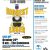 Biggest Loser Flyer Template Biggest Loser Challenge Flyer