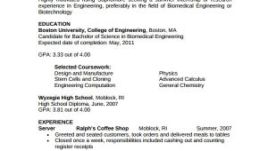 Biomedical Engineering Student Resume Sample Biomedical Engineer Resume 9 Free Documents