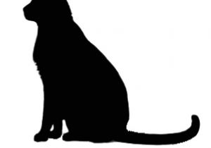 Black Cat Templates for Halloween 44 Spooky Cat Pumpkin Stencils You Ll Love Carving This